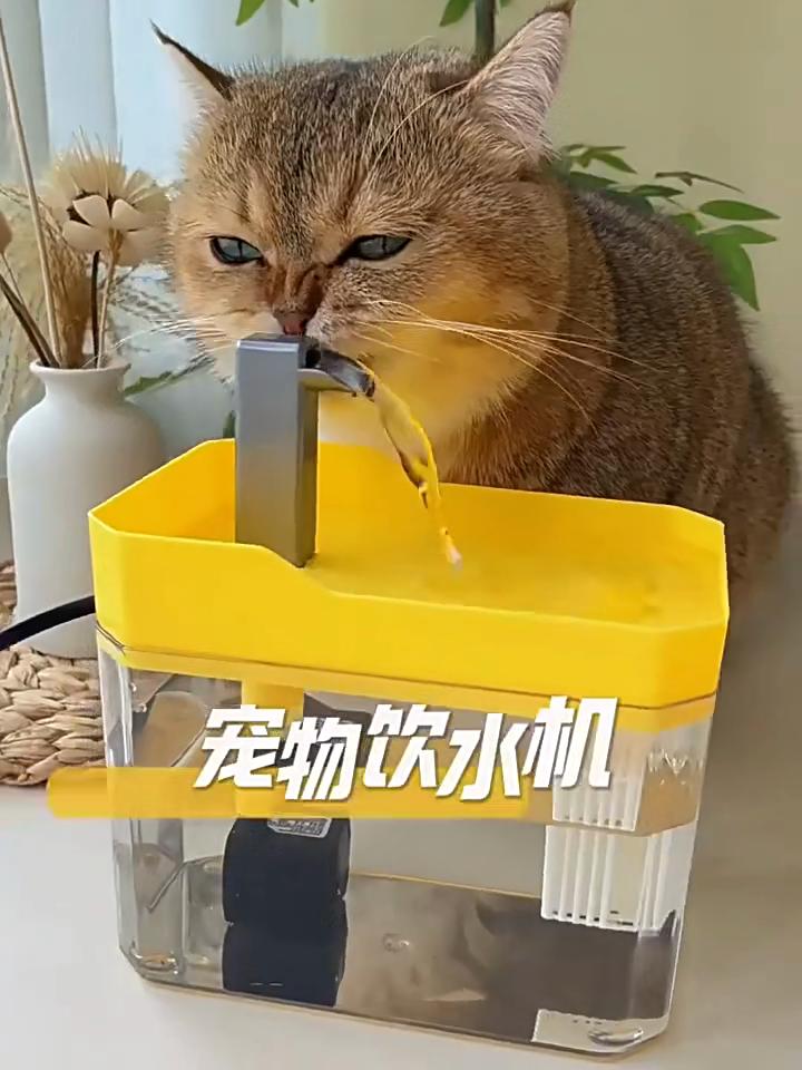 1.5L Cat Water Fountain Auto Filter Pet Cat Drinker USB Automatic Water Drinking Fountain Dispenser Live Water Circulation