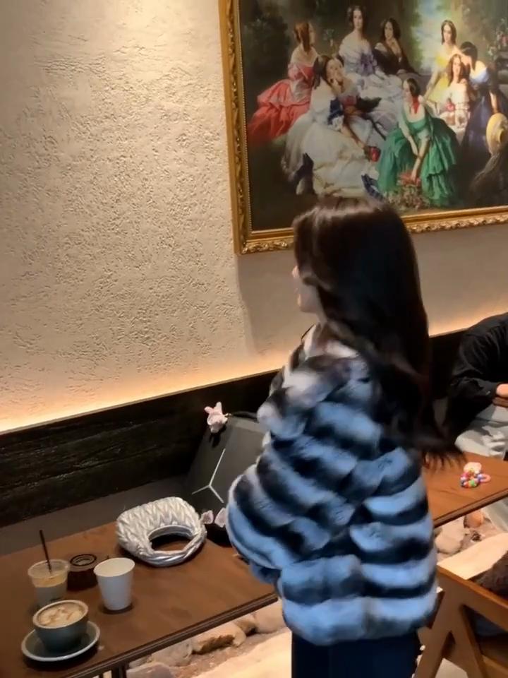 Winter New High-end Fashionable Lady Fur Imitation Rex Rabbit Fur Chinchilla Lapel Fur Coat Short Style Women