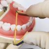 Suport pentru benzi de lustruit din oțel inoxidabil dentar Tip universal de anterioară și posterioară pentru benzi de lustruit din metal și poliester