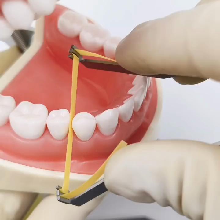Suport pentru benzi de lustruit din oțel inoxidabil dentar Tip universal de anterioară și posterioară pentru benzi de lustruit din metal și poliester