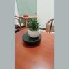 Factory Faux Stone Lotus Succulent Plant Pot With Decor For Home And Wedding Settings