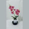 Decorative Butterfly Orchid Indoor Planter With Plastic Material For Home Decor And Photography Props