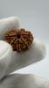 Natural Nepali 8 Mukhi Rudraksha 925 Silver Pendant | Organic & Lab Certified Spiritual Bead for Obstacle Removal, Success & Protection