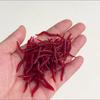 Gusanos de tierra Señuelos Blandos Gusano Rojo Blando Realista Señuelo de Pesca de Gusano de Tierra Cebo Artificial con Olor a Pescado Aditivo de Camarón para Lubina Carpa
