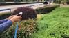Water Spray Gun High Pressure Metal Water Spray Gun Rust Prevention with Rubber Handle for Car Garden Lawn Wash for Cleaning