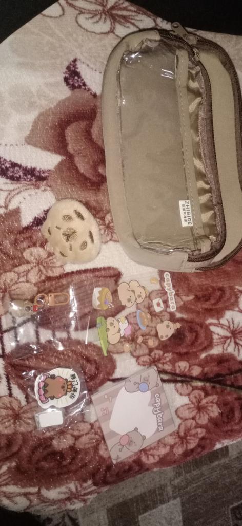 Set Cancelleria Capybara Kawaii – Astuccio Con Penne, Segnalibro, Portachiavi E 50 Adesivi, Regalo Ideale Per Bambini E Ragazze