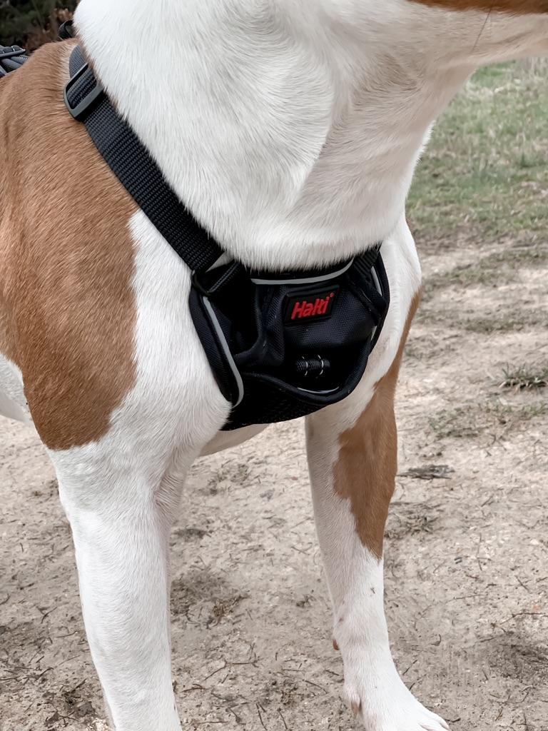 halti no pull dog harness