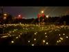 6/8/10 LED Solar Garden Lighting Solar Powered Firefly Lights Outdoor Garden Decoration Landscape Lights Firefly Lawn Lamps