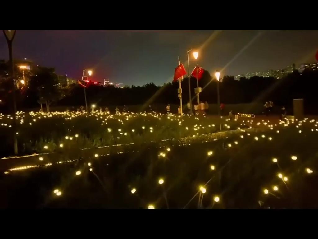 6/8/10 LED Solar Garden Lighting Solar Powered Firefly Lights Outdoor Garden Decoration Landscape Lights Firefly Lawn Lamps