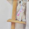 Pet Supplies Colorful Plush Strips Cat Teasing Stick Bell Decompression Interactive Cat Toys