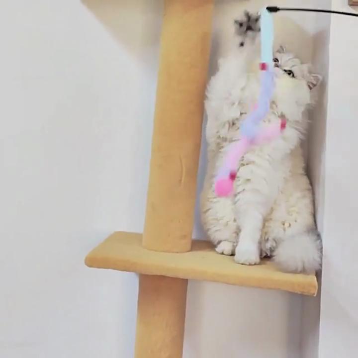 Pet Supplies Colorful Plush Strips Cat Teasing Stick Bell Decompression Interactive Cat Toys