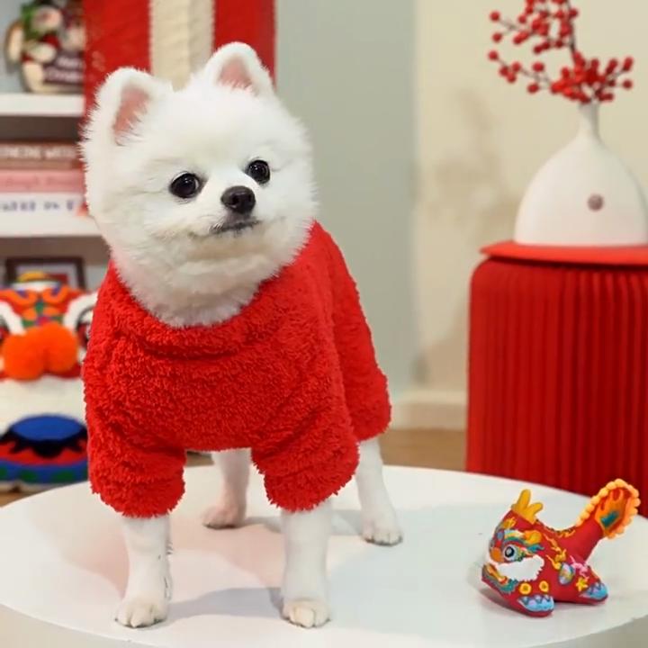 Chinese New Year Pet Sweater for Small Dogs - Red Fluffy Dog Coat with Fu Dog/Cai Gold Pendant (Lucky Festive Style)