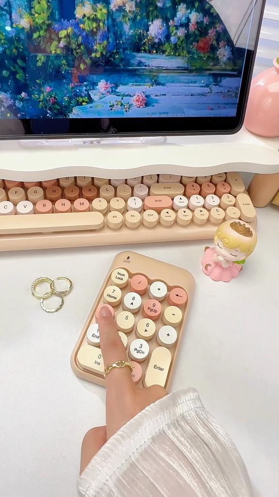 Portable Wireless Numeric MOFII Keypad for Financial Use: Delightfully Compact X910