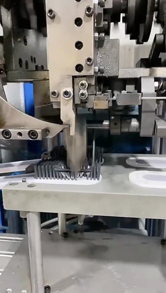 2-in-1 Detachable Brush: Shoe Cleaner + Gap Brush + Clothes Stain Remover