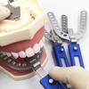 Dental ProGauge for Bite Recording 3mm/5mm Oral Centric Tray Set Impression Trays Occlusal Record Articulator Denture Repair