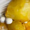 1038 Ct Natural Yellow Sapphire Uncut Rough Huge Size CERTIFIED Gemstone
