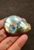 51x39x6 MM Size Best Pendent Size Multi Fire Natural Labradorite Cabochon Gemstone, 105.45 Carat.