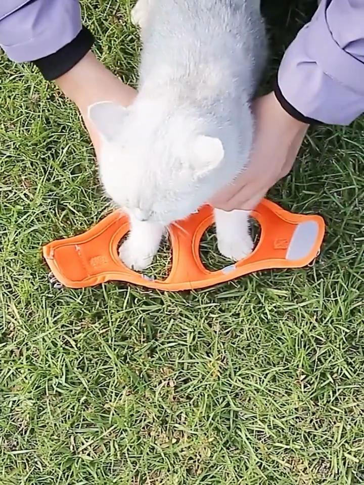 Cat Harness and Leash for Walking, Escape Proof Soft Adjustable Vest Harnesses for Cats, Easy Control Breathable Reflective Strips Jacket