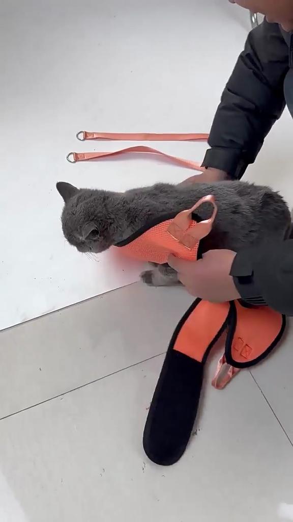 Pet Grooming Hammock Cat Dog Hammock Nail Cutter Hanging Bag Anti-Scratch Bite Medicine Fixing Bag