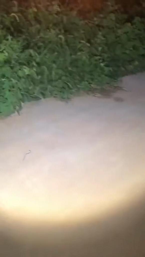 Rechargeable MINI Flashlight COB Side Lights Powerful Torch Outdoor Camping Fishing Lighting Lamp