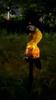 Resin Parrot Solar Lawn Lamp Waterproof Animal Stake Light Outdoor Landscape Decor Lamp Easy Installation for Garden Yard Patio Pathway