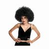 70's Afro Curly Synthetic Wigs for Women Large Bouncy and Soft Natural Looking for Daily Party Cosplay Costume Halloweeen