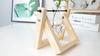 1/2/3Pcs Plant Terrarium with Wooden Stand Transparent Glass Bulb Vase Table Centerpiece Hydroponic Flower Holder Plants Container Decoration