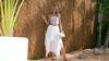 Women's Bohemian Maxi Skirt Flowy Asymmetric High Low Hem Casual Skirt