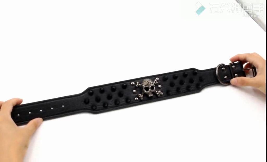 Coleira de caveira para animais de estimação, estilo asiático, moderna e estilosa, para cães de estimação