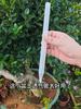 100pcs Garden Tool Graft Clip Graft Clamp For Novice Enthusiast Stable Connection Versatile Ample Quantity Plastic