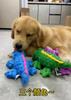 Zacht Pluche Huisdier Hond Piepend Kauwspeelgoed Knuffel Krokodil voor Kleine Grote Honden Kat Schattig Interactief Piepspeeltje Duurzaam