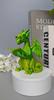 Dragon Ornaments 3D Printed Reading Figurine, Cute Statue with Glasses Fantasy Book Decor Book, Desktop Bookshelf Decor, Lover Gift Whimsical Desk