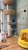 Cat Toys, Strong Suction Cups, Cat Teasing Sticks, Long Poles, Self-hi