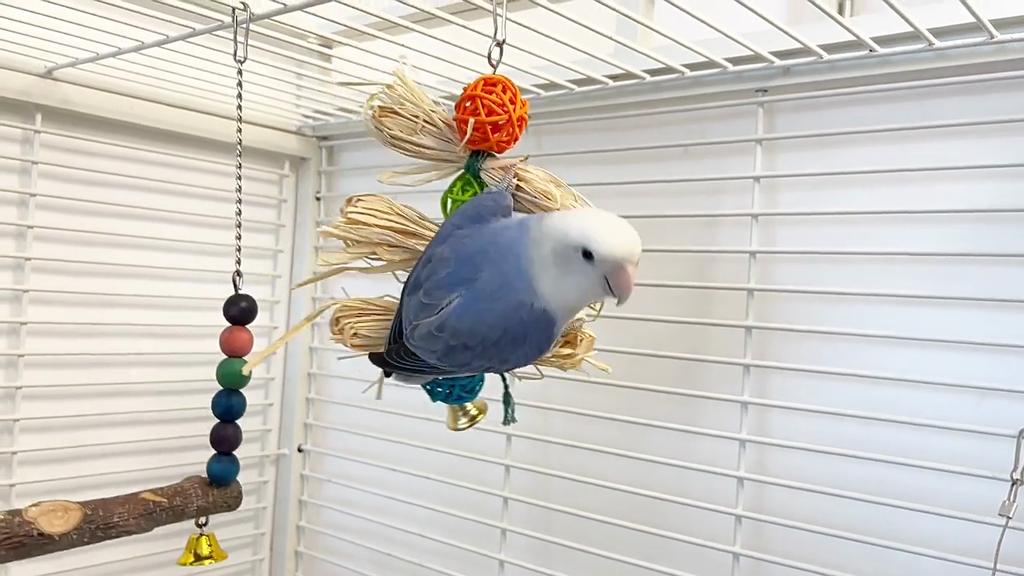 Yousheng Bird Playing Toy Bite Resistant Lanyard Teeth Grinding Healthy Parrots Macaws Bird Supplies for Pet Cage