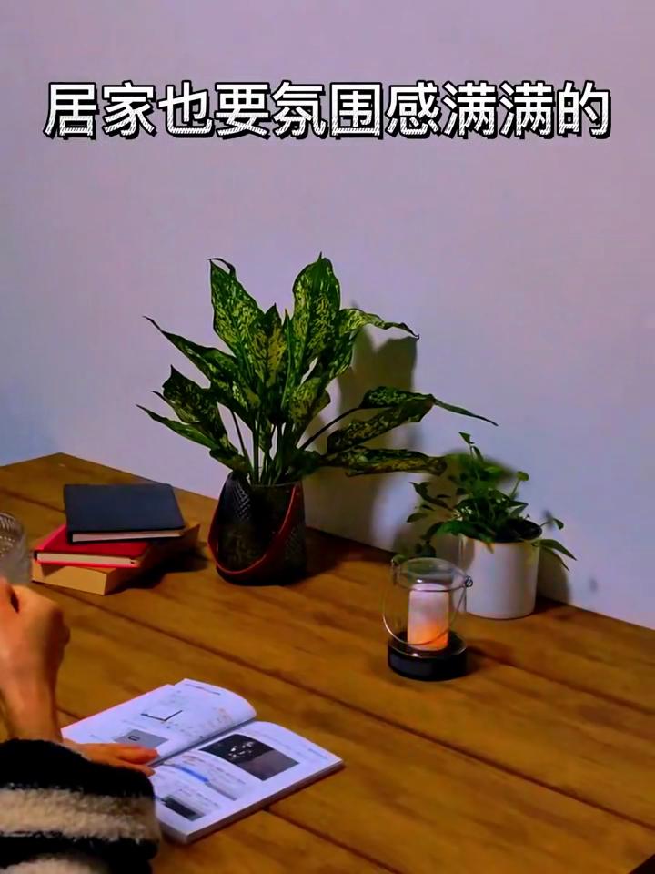 Outdoor Camping LED Flashlight Touch 3 Colors USB Rechargeable Portable LED Tent Lanterna Outdoor Portable Emergency Light Bulb