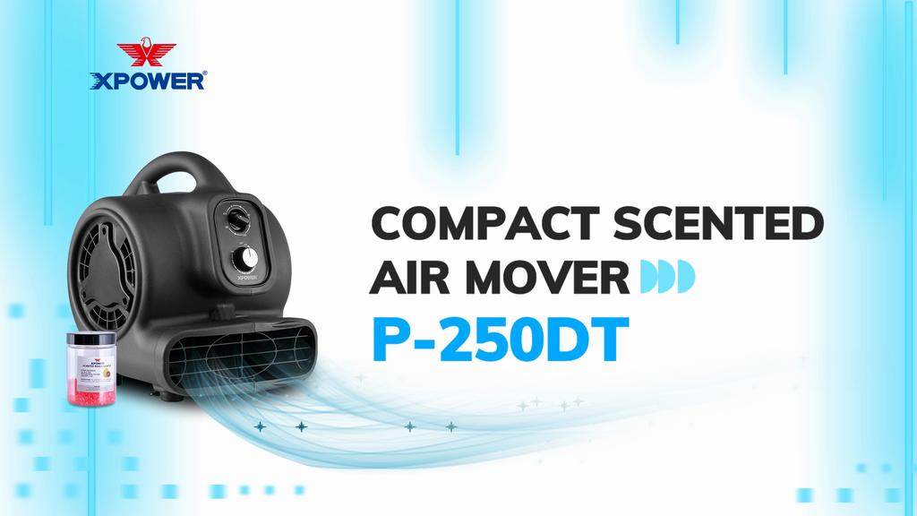 Floor Blower Timer & Knob Actuator XPOWER Black Gel Beads Scented Air Freshen Aire P-250DT
