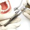 Pinceta do papieru dentystycznego bliska końcówka artykulacji Miller pinceta laboratorium dentystyczne badanie zębów dentystycznych narzędzie do wybielania narzędzia dentystyczne