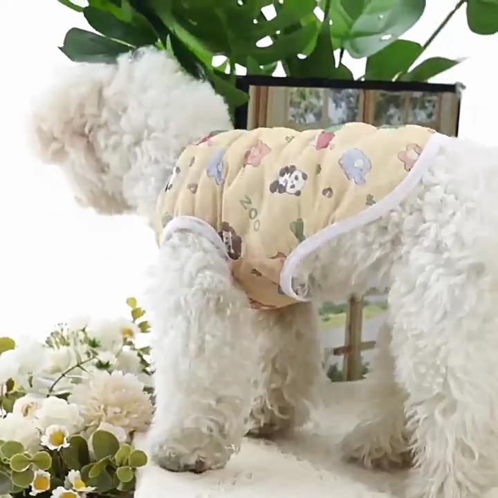 Desene animate drăguț animal de companie vestă subțire cățeluș vară respirabil plasă îmbrăcăminte pentru pisici câini pisică jachetă haine pentru câini mici