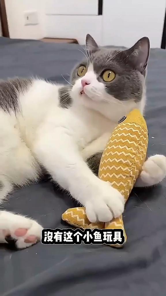 Cat Toys Fish,Plush Interactive Cat Toy for Indoor Cats,Crinkle Sound Catnip Toys Soft Linen, Interactive Kitten Exercise Kicker Toys for Indoor Cats