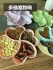 Yousheng Pet Bowl Division Design Multifunctional BPA Free Cat Water Food Feeding Bowl Pet Supplies