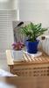 Flowerpot Durable Stable Decorative Breathable Succulents Nursery Garden Planter with Tray for Home