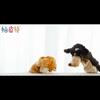 Coleção de Fantoches de Pelúcia de Animais do Zodíaco Com Design Personalizável Para Atividades de Performance na Creche