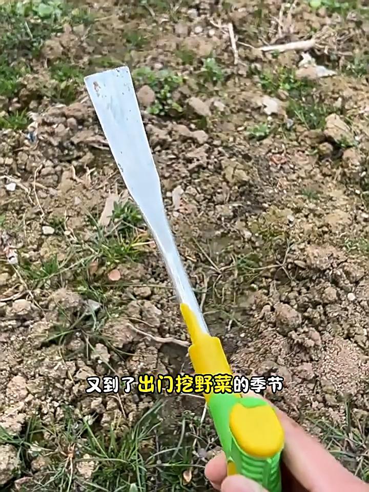 את חפירה קטנה לגינה עם ידית ארגונומית מונעת החלקה עיצוב בצורת T כף גינון כלי להסרת עשבים
