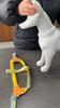 Set Pettorina e Guinzaglio per Cani Traspirante Senza Strangolamento Step-in Pettorina a Gilet per Cani Piccoli Pettorina Regolabile per Cuccioli Rosa Blu Giallo