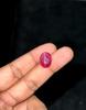 CERTIFICADA 7,10 Ct Rubi Estrela Vermelho Natural Incrível Forma Oval Gema Solta VA-841