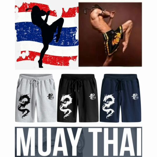 China Chinese Dragon Muay Thai Boxing Kickboxing Shorts 3D Print Training Unisex Men Women Quick Dry Fitness Gym Sport Workout Casual Streetwear