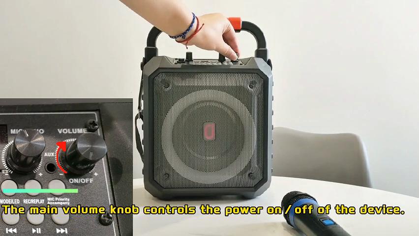 Karaoke Machine with Two Wireless Microphones, Portable Speaker with LED Lights for Kids and Adults, Supports Bluetooth/USB/TF/AUX for Party