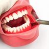 1 Stück Dental Zygoma Retractor Edelstahl Wangenretraktor für Seitenzähne im Oberkiefer Chirurgischer Retraktor