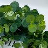 20pcs Mixed Eucalyptus Leaves Stems, Bulk Artificial Oval Eucalyptus Leaves With White Seeds Stems For Vase Floral Wreath Bouquets