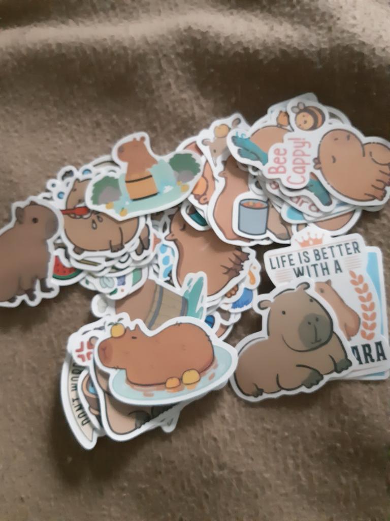 Capybara
